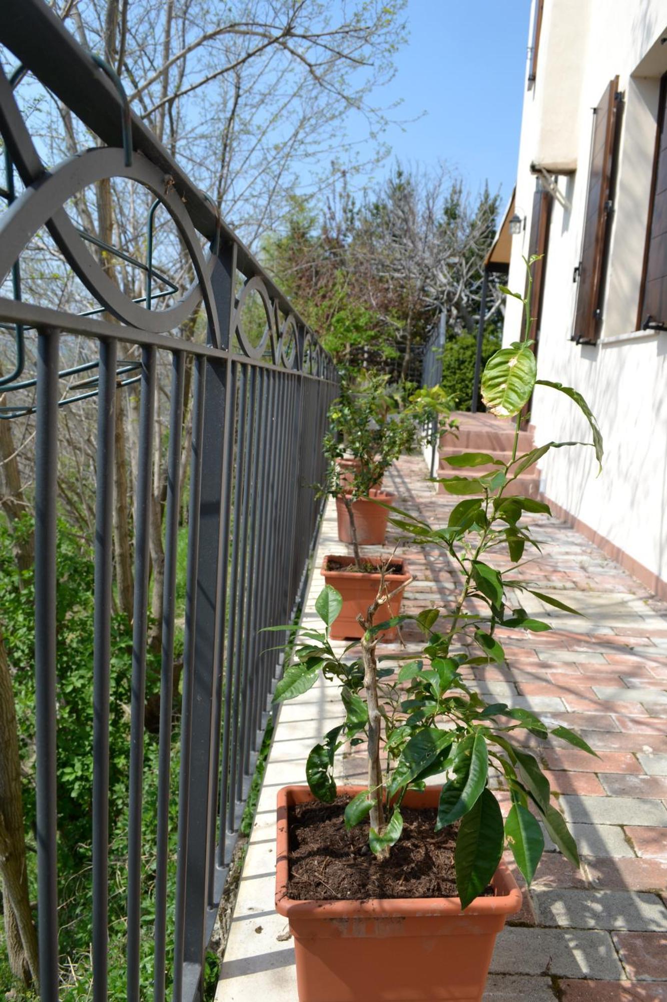 B&B Ca Biocco Sogliano al Rubicone Kültér fotó