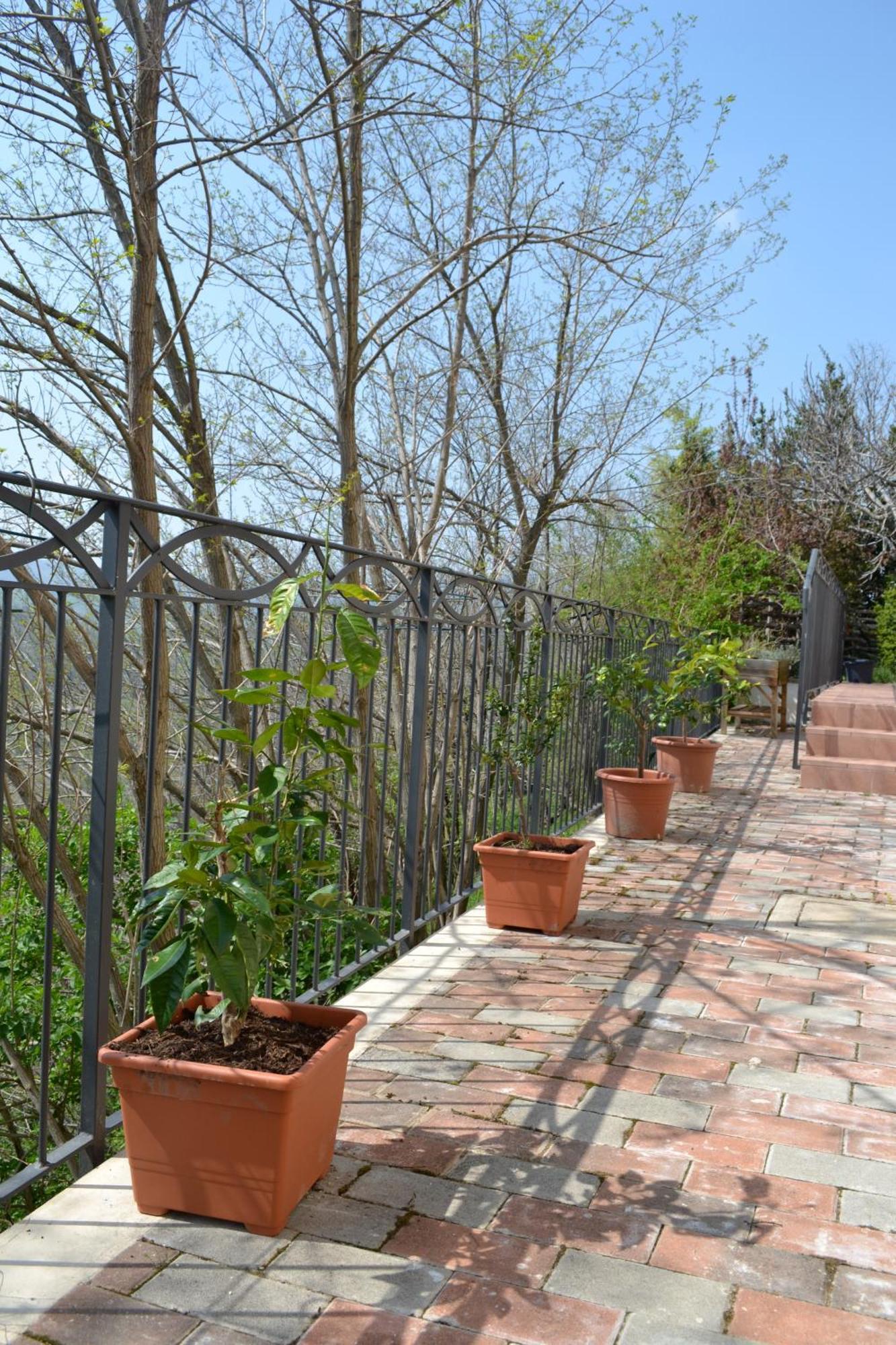 B&B Ca Biocco Sogliano al Rubicone Kültér fotó