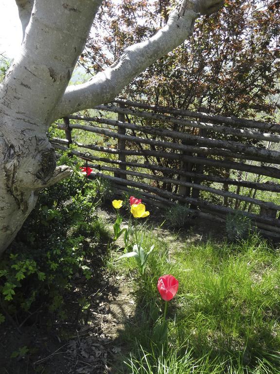 B&B Ca Biocco Sogliano al Rubicone Kültér fotó