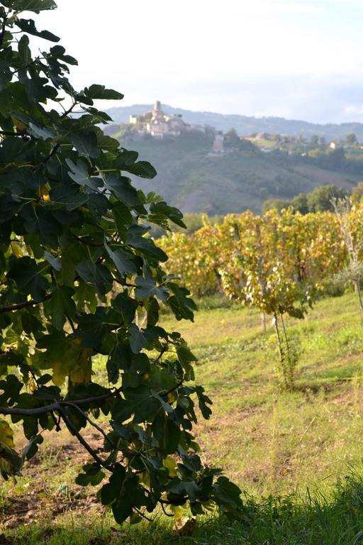 B&B Ca Biocco Sogliano al Rubicone Kültér fotó