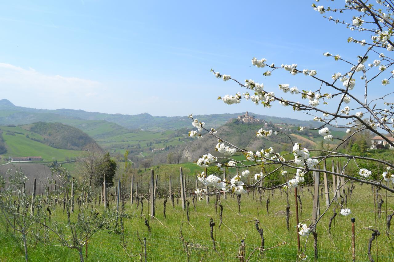 B&B Ca Biocco Sogliano al Rubicone Kültér fotó